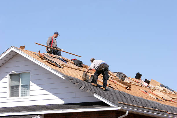 Trusted Williamsburg, KY Roofing services Experts